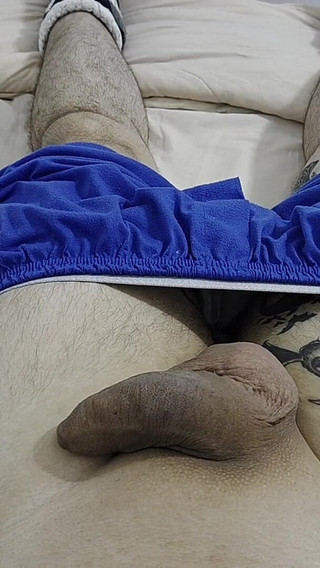 A Resting Cock