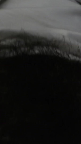 Alpha Superiority Pubic Hair