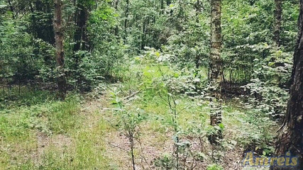 When You Walk, You Should Always Jerk off Your Dick and Empty Your Balls.