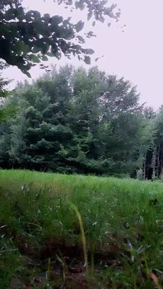 Slutboyben Cam4 Abgefickt Und Vollgerotzt Outdoor