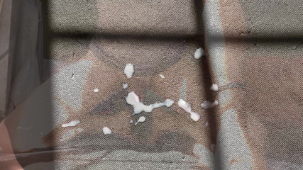 Released Sperm During Anal Destruction