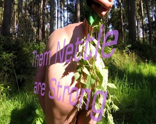 Nettle Play in the Woods