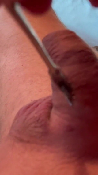 Kinky Puppy Self Punishment Pinwheel on Cock Balls