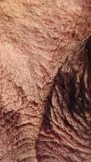 Old Man Playing on the Beach