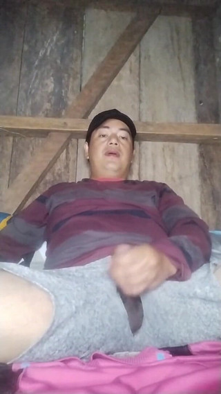 Let Us Having Fun Again