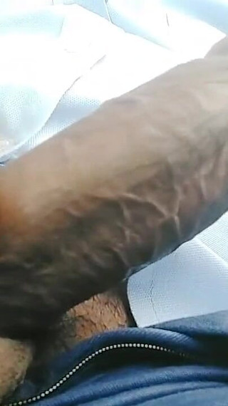 I Want a Female Partner