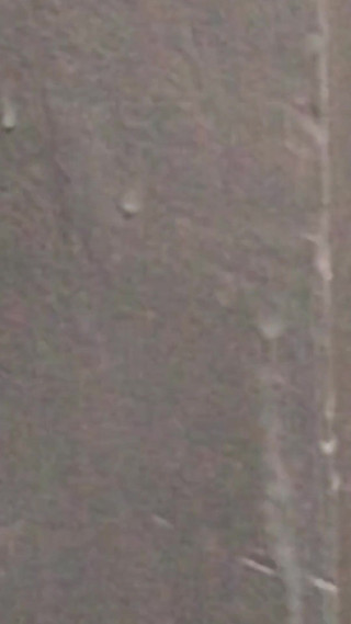 I Welcome the New Ones, Enjoy