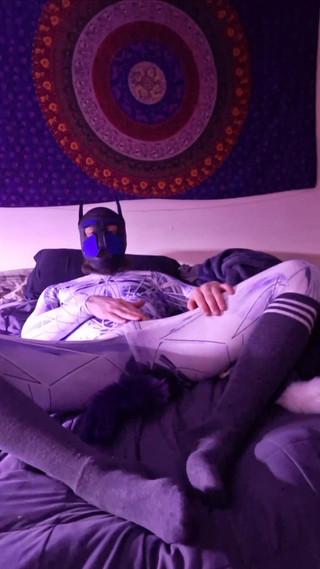 Pet Play Socks Plug Tail