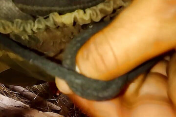 Jerker Male Man Pissi Tribute to Pussyman