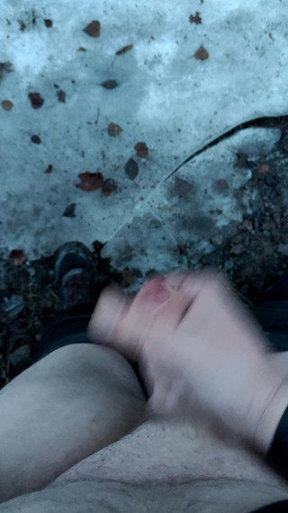 Masturbation in the Forest