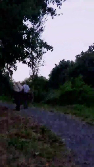 Public Exhibitionist