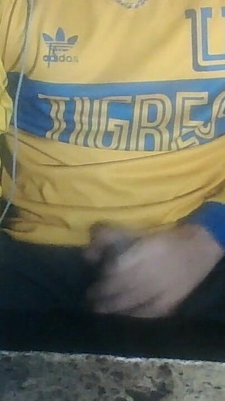 Excellent Pajero Thursday