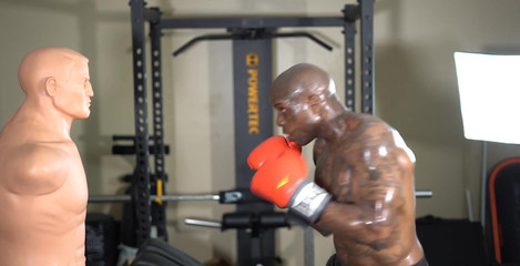 Hallelujah Johnson - 2703058