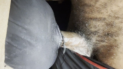 Hot Dick to Hot Deep Slut Engages