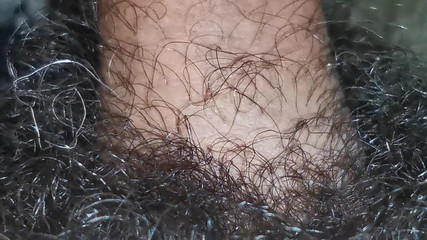 I Got Lost in the Amazon Jungle