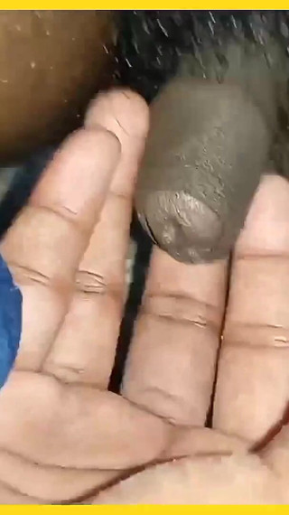 Lovely rose adit studio