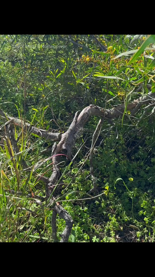 This Week - Stepdaddy’s Outdoor Adventures - Compilation Vol. 3