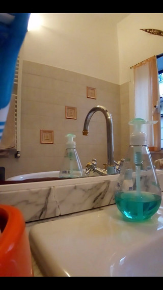 Visiting Bathroom