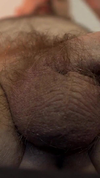 Bear Worships His Hairy Bull Balls, No Cum