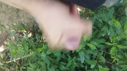 Bayer I'm Forst Only the End and the Cum