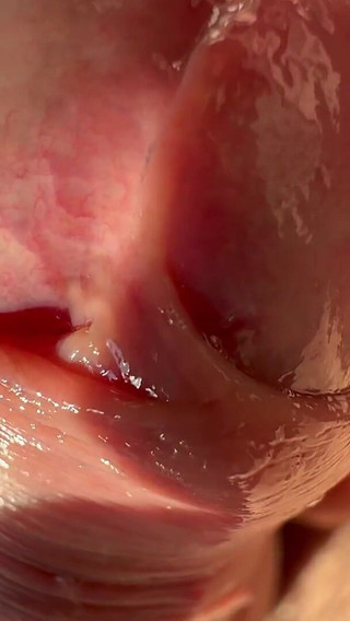 Macro Wet Foreskin Dick