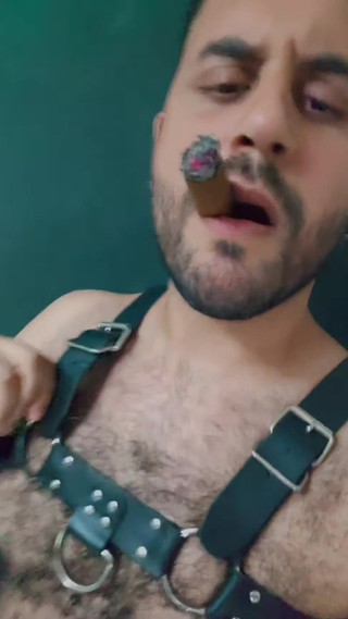 Mr Bear Cigarman Smoking