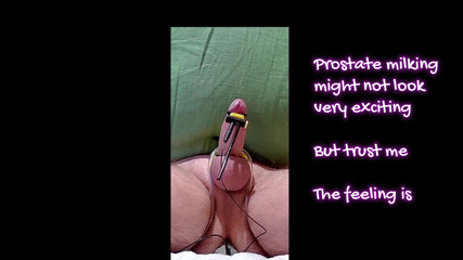 Prostate Pulsinator Estim