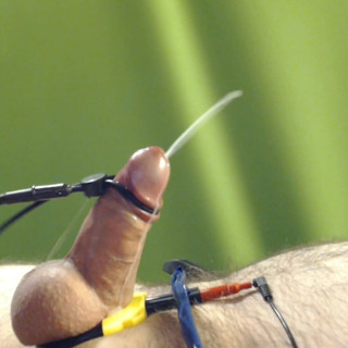 Assorted Estim Cumshots