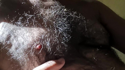 Bear Hot in the Morning