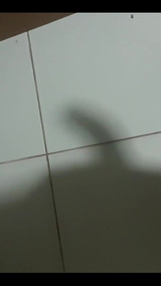 Shadow of Cock