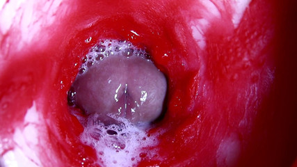 Hot Wet Sexy Hole and Sloppy Big Cock