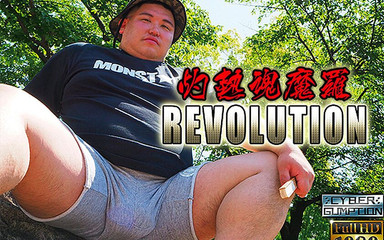 Flaming damara revolution