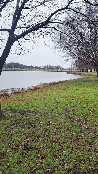 2 urethral vibrators in Dallas hotel bathtub with cumshot