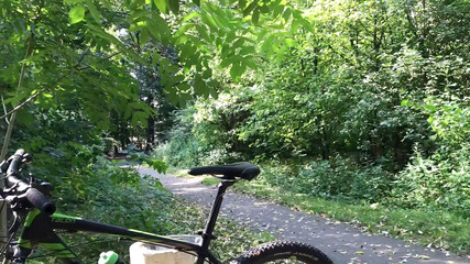 City Park Bench Masturbation