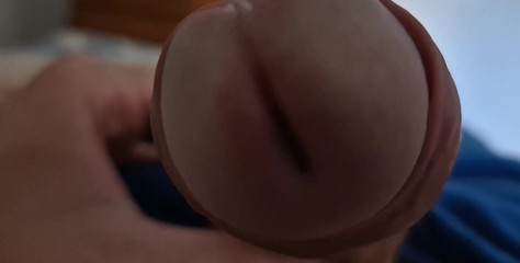 A Close up of My Dock's Head