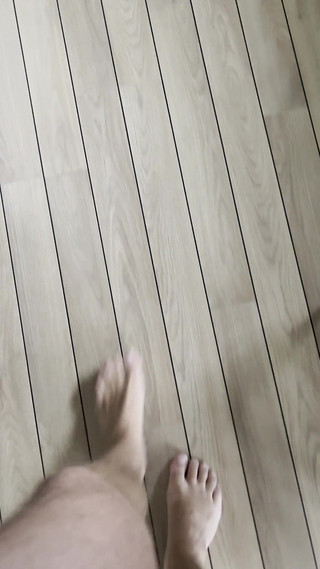 On a Walk in the Living Room