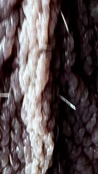 Eier Massieren Bis Zum Schluss