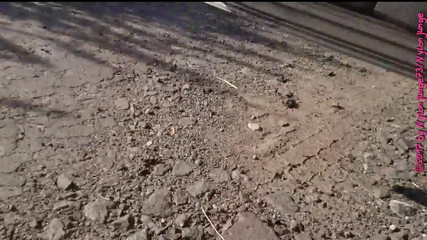 White Sneaker Socks in the Puddle