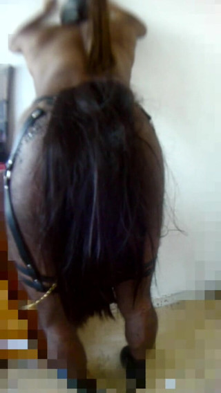 Petplay: Getting Attached to a Drawer