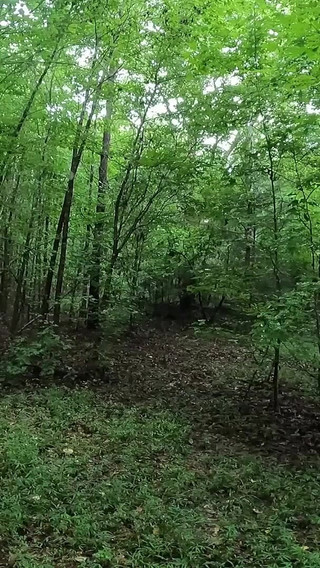 Big Fake Tits Crossdresser Jon Scarecrow Walking a Country Lane in Lingerie