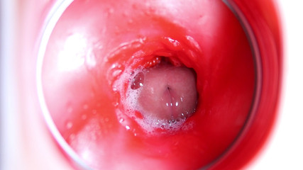 Camera Inside the Pussy! the Wettest and Tastiest Hole with a Big Dick Inside!