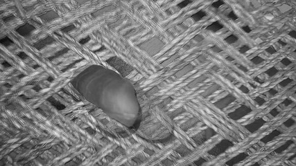 Hot Indian Gay Cumshot Compilation Video.