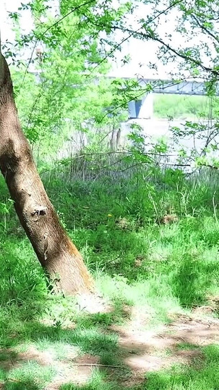 Caught Sucking in the Woods - Unexpected Threeway with a Stranger