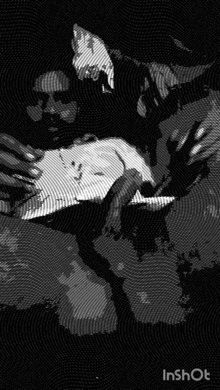 A Boy Shaking His Dick