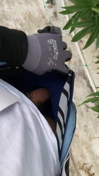 Gay Twink with a Big Cock