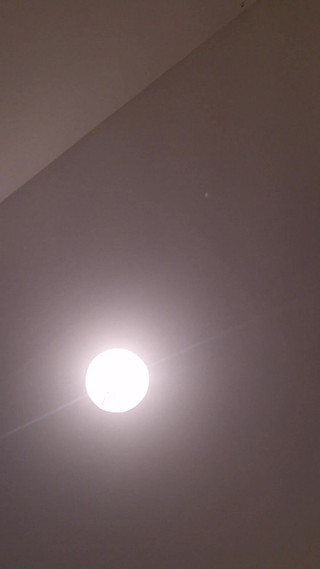 Investigating New Adventures.