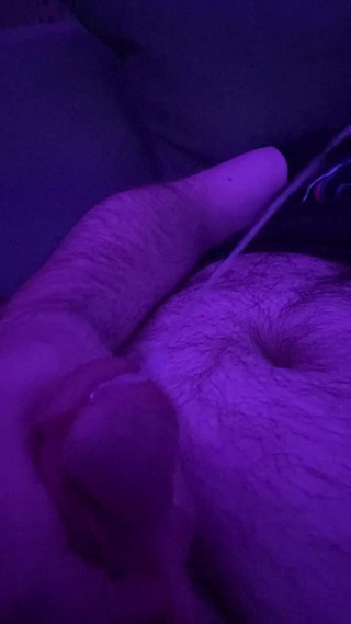 Bear Shooting Load