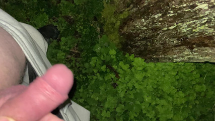 Little Soft Dick, Little Piss Compilation