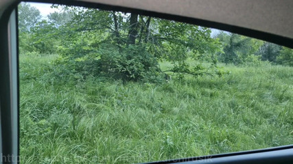 A Random Trucker Fucks in a Car with Stepdaddy to Cum!