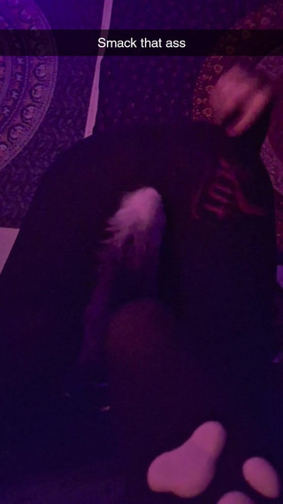 Smack That Ass